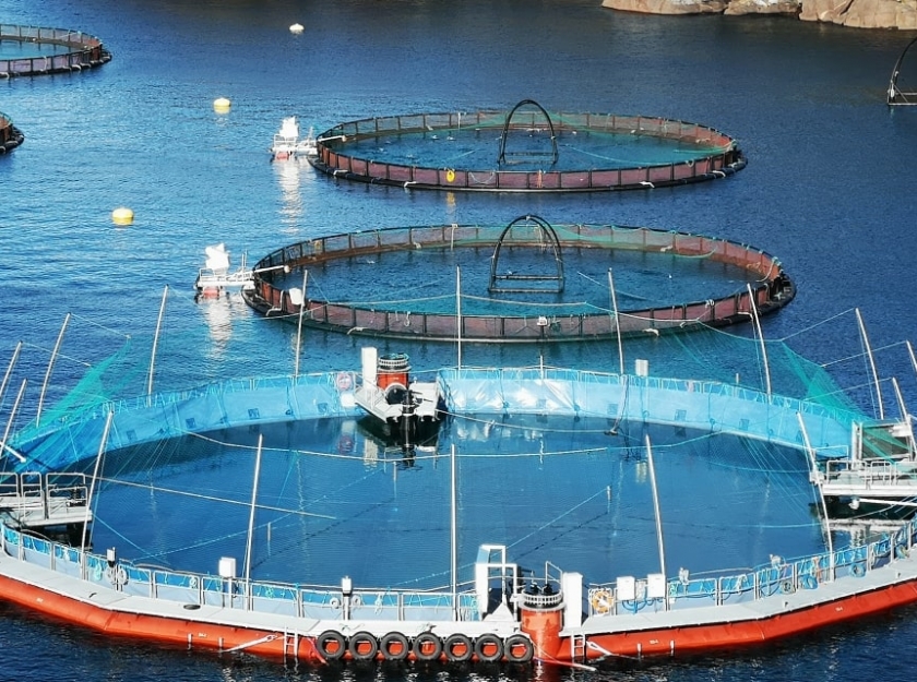Flexible semi-closed cage in Norway